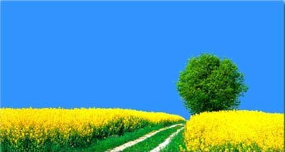 Dr. Ulf Heimbach – Raum für Rückzug und Coaching in der Uckermark.